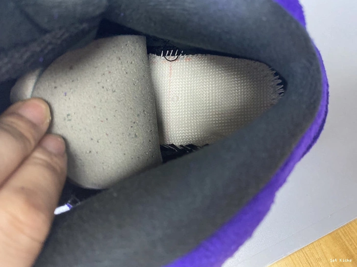  “Alternate 5 Jordan Grape” 136027-500 Air 0204